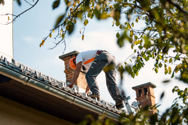 Best Roof Gutter Cleaning  in Oak Ridge North, TX