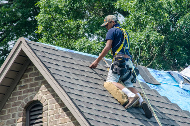 Best Roofing Contractor Near Me  in Oak Ridge North, TX